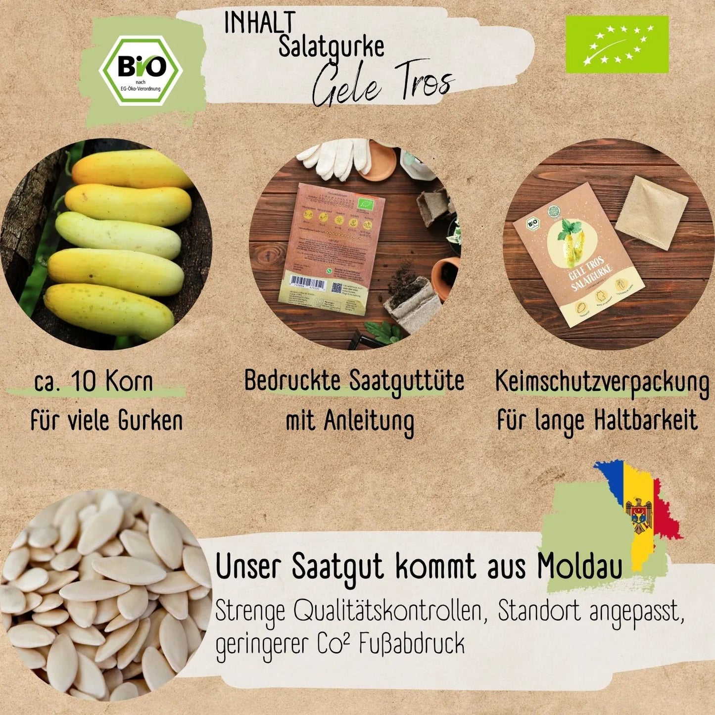 Bio Salatgurke Gele Tros Samen