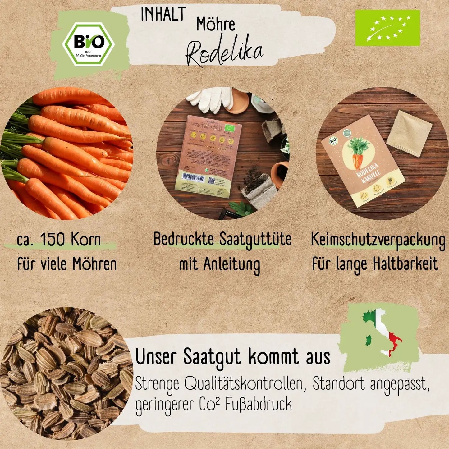 Bio Möhre Samen