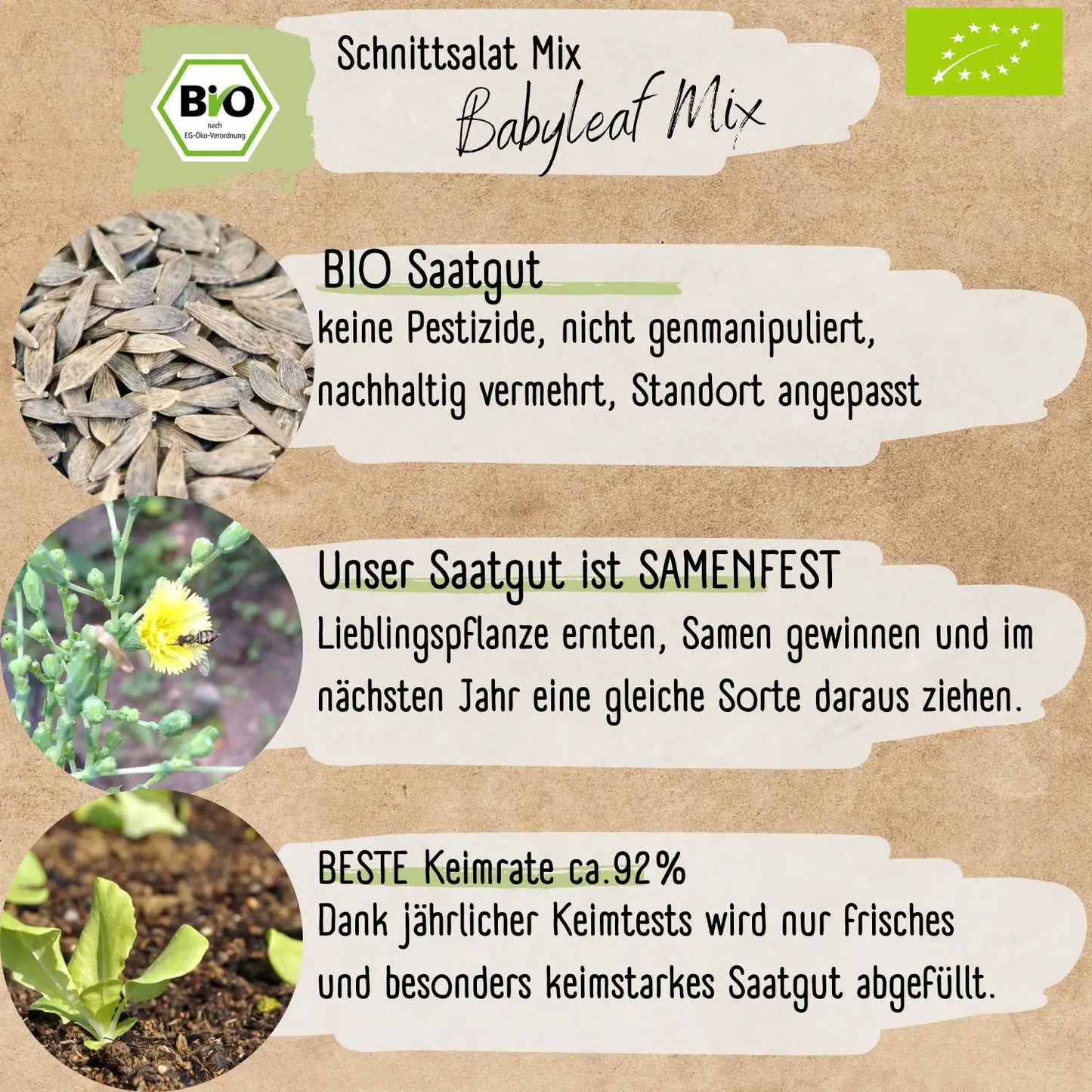 Bio Schnittsalat Samen Mix