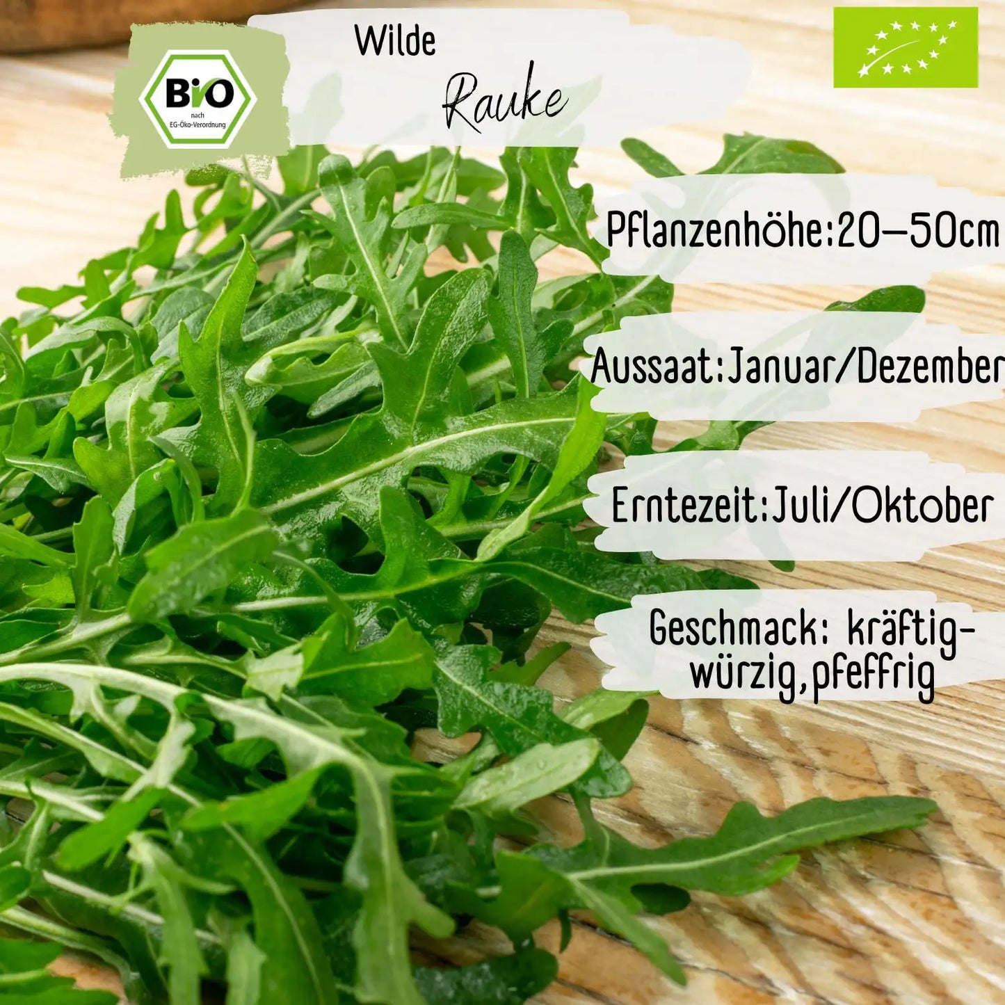 Bio Wilde Rauke Samen