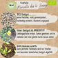 Bio Kopfsalat des 4 Saisons Samen