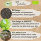 Bio Spinat Samen