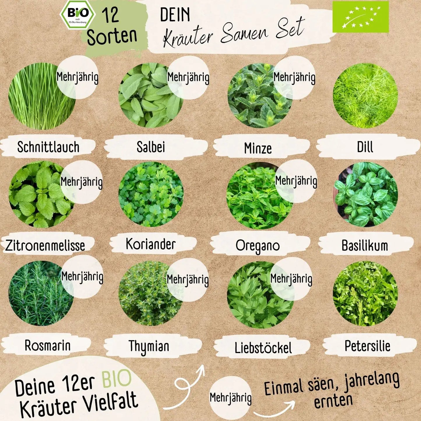 Dein 12 Bio Kräutersamen Set