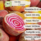 Bio Rote Bete Chioggia Samen