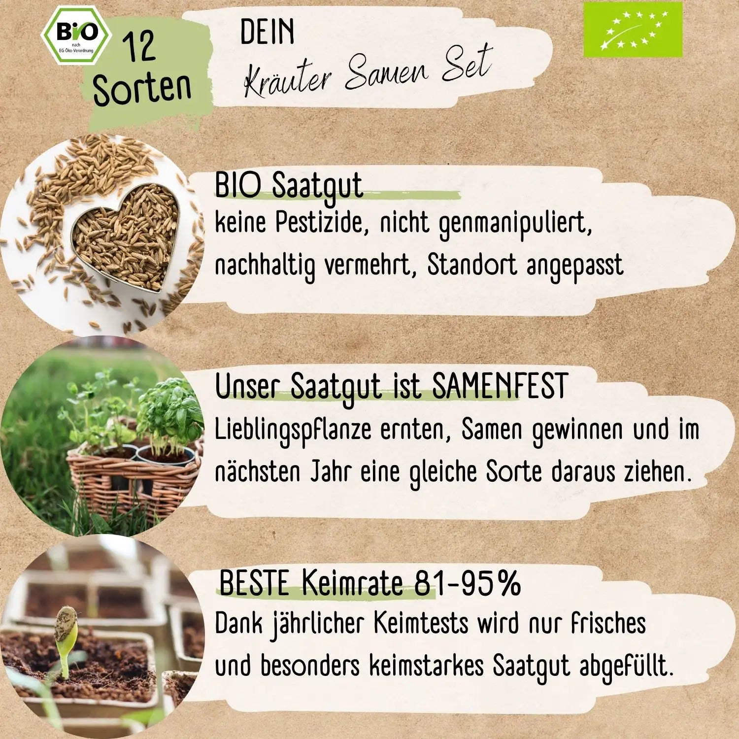 Dein 12 Bio Kräutersamen Set kaufen ➤ mit Keimgarantie