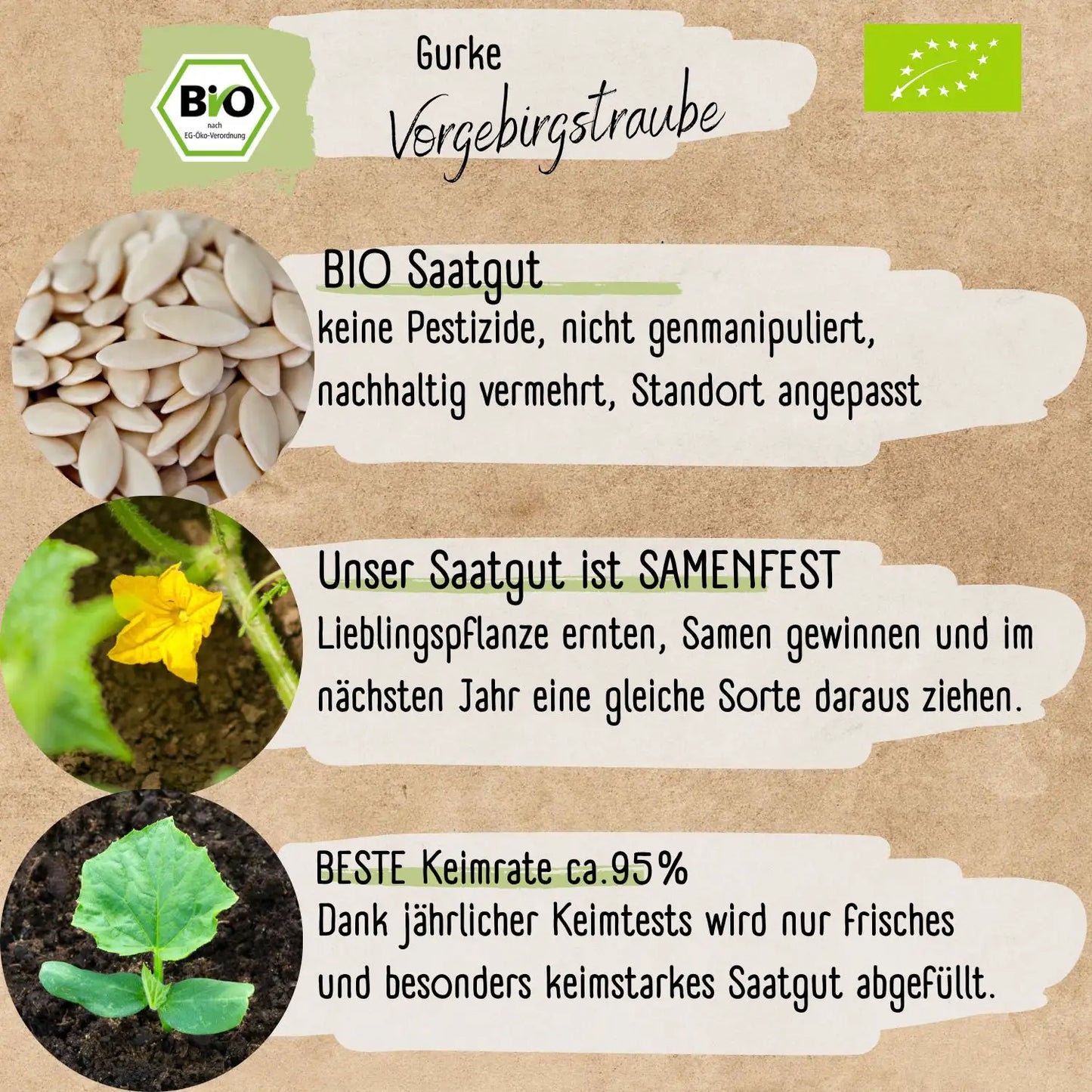 Bio Gurke Vorgebirgstraube Samen