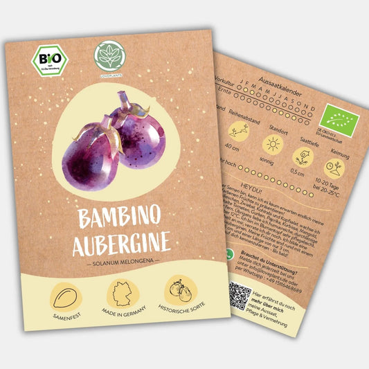 Bio Aubergine Bambino Samen