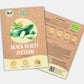Bio Zucchini Black Beauty Samen