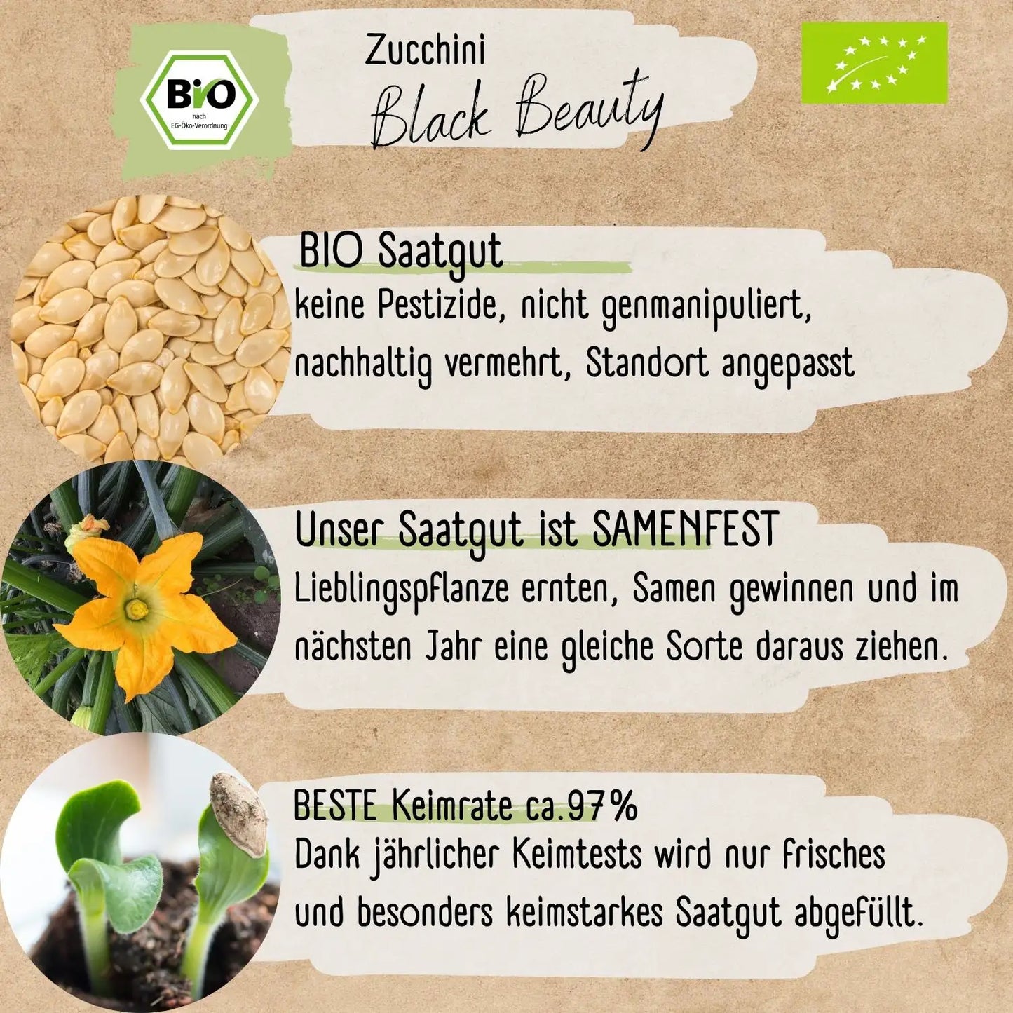 Bio Zucchini Black Beauty Samen