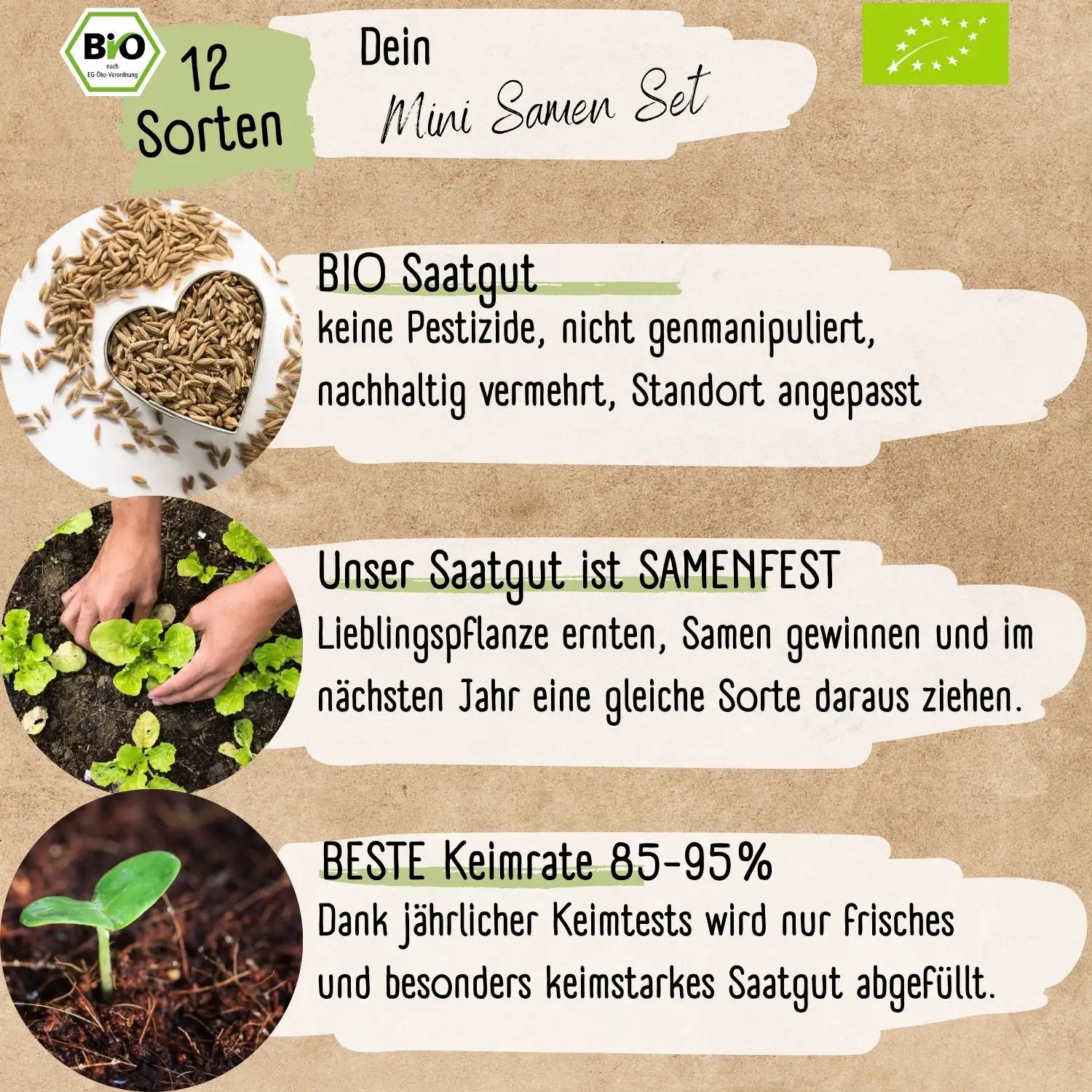 Bio Balkon & Hochbeet Gemüsesamen Set kaufen