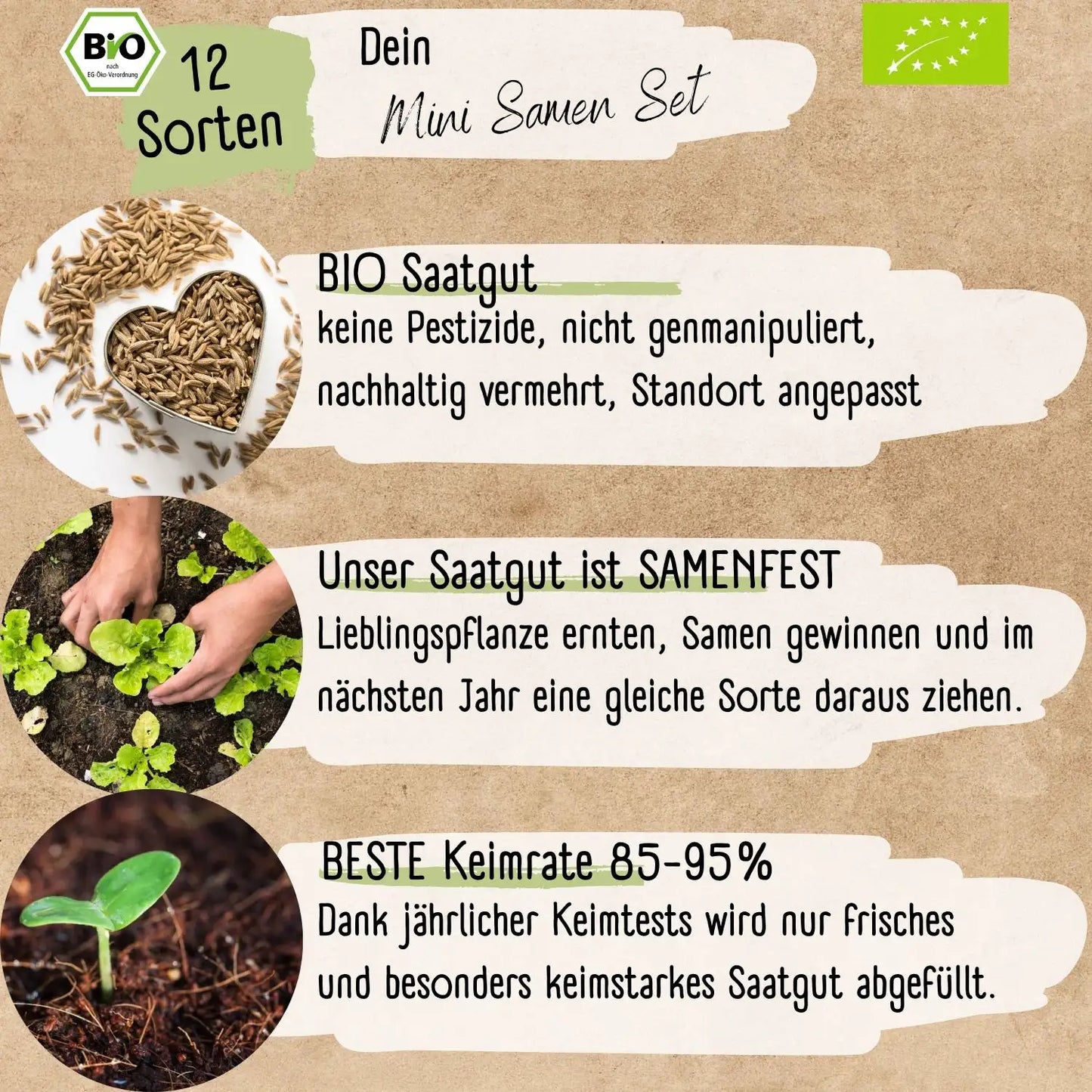 Dein 12 Bio Balkon & Hochbeet Gemüsesamen Set