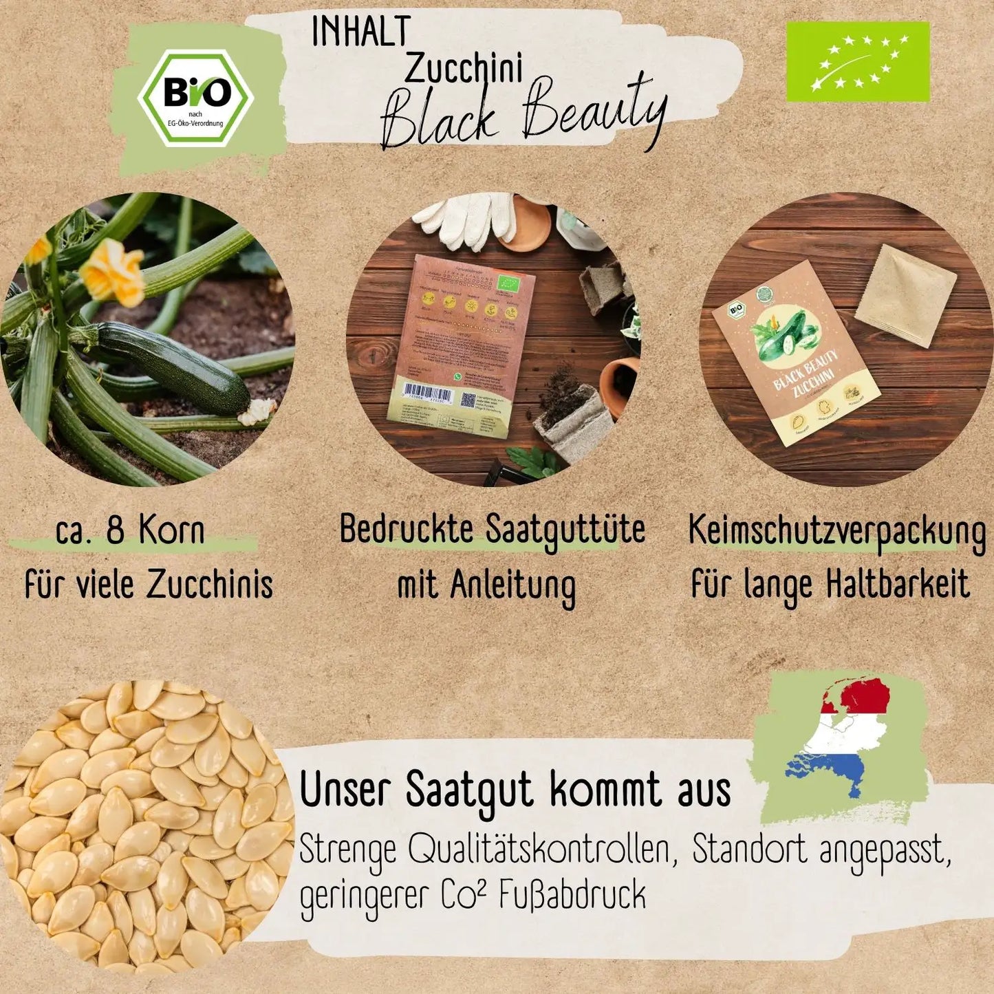 Bio Zucchini Black Beauty Samen