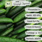 Bio Salatgurke Telegraph Improved Samen