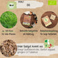 Bio Dill Samen