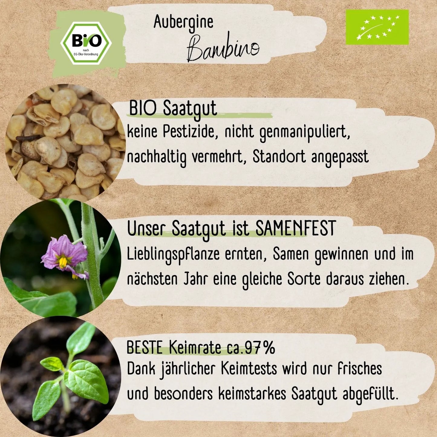 Bio Aubergine Bambino Samen