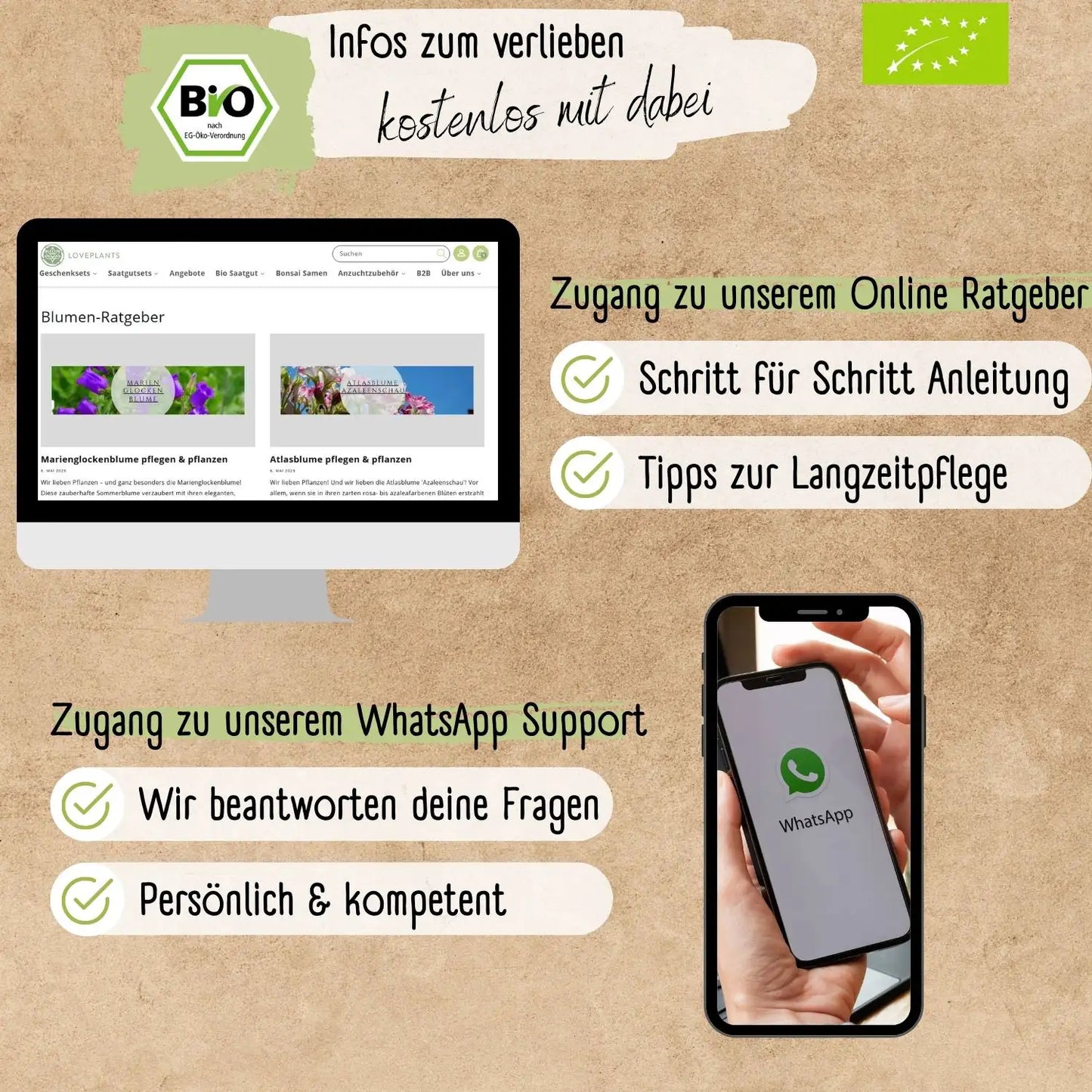 Bio Zinnie Samen Liliput Kanariengelb
