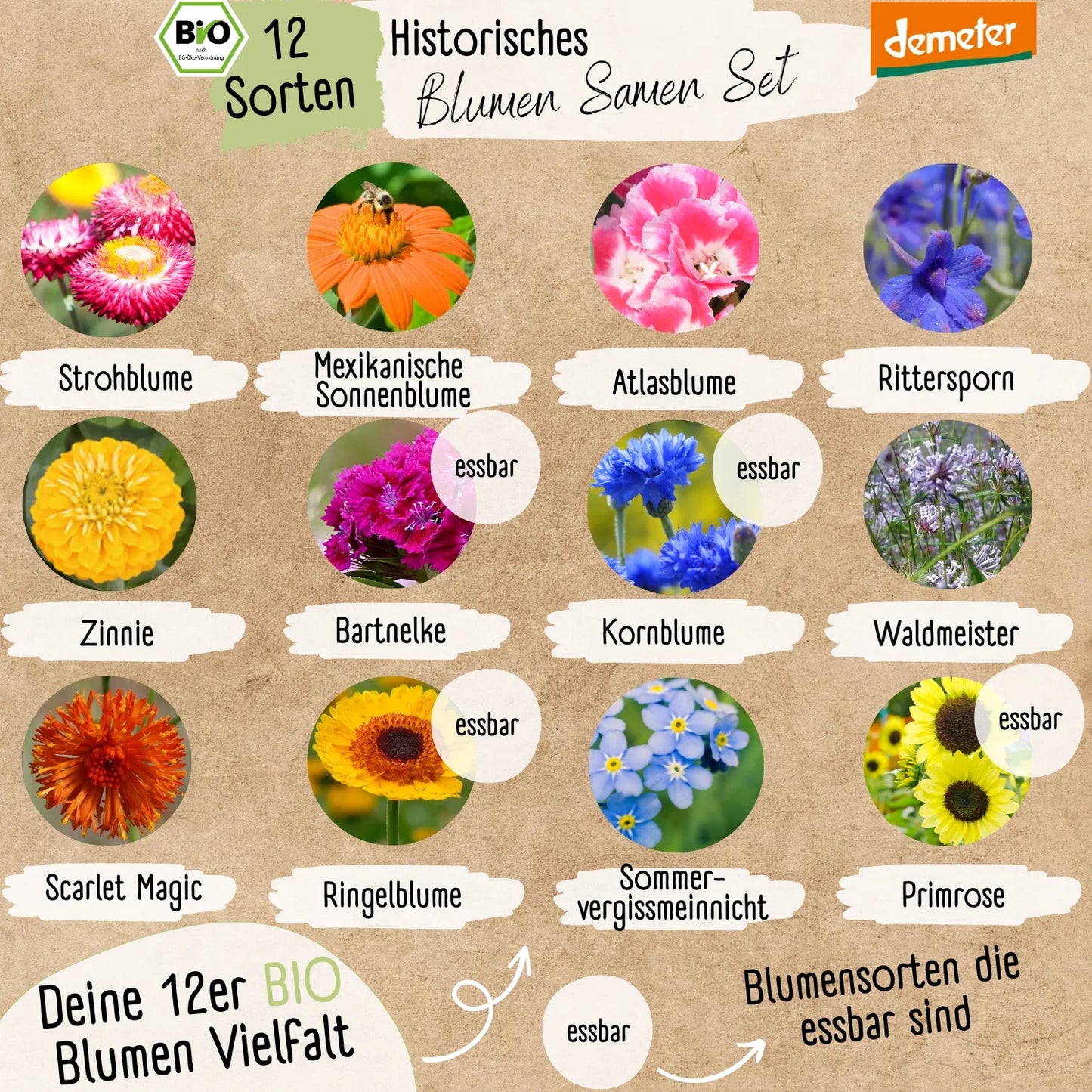 Dein 12 Demeter Historisches Blumen Samen Set