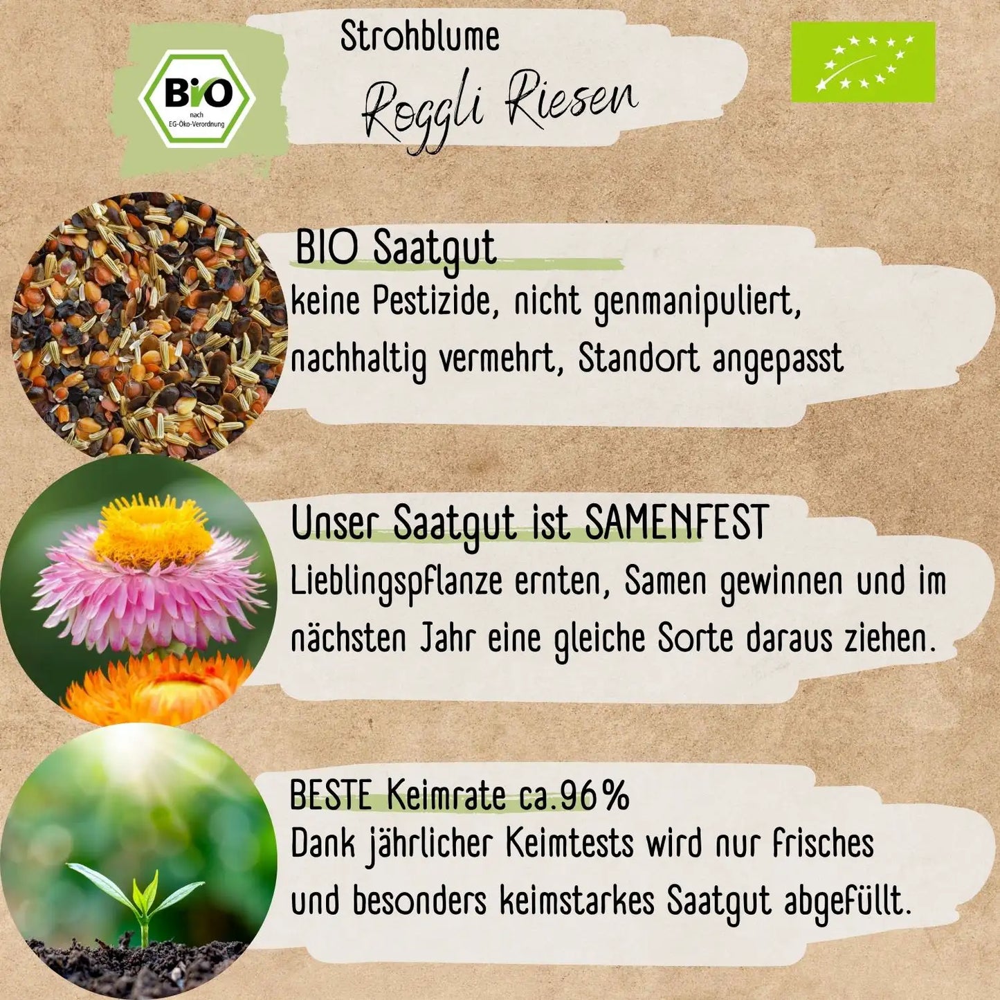 Bio Strohblume Samen Roggli Riesen