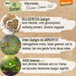 Dein 12 Demeter Historisches Blumen Samen Set