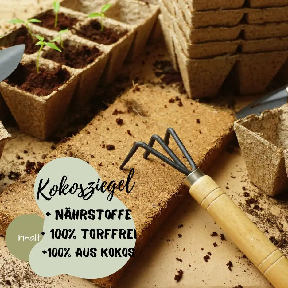 Kräutergarten Starter Set