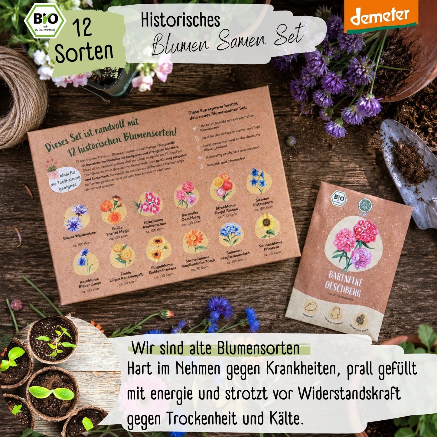 Dein 12 Demeter Historisches Blumen Samen Set