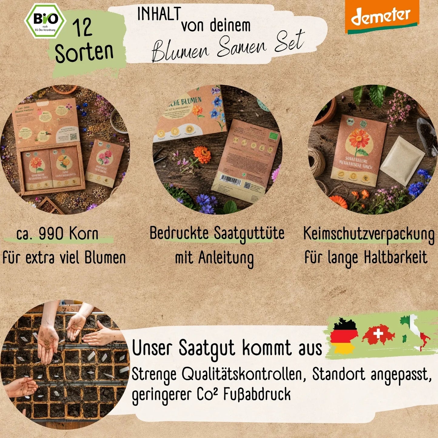 Dein 12 Demeter Historisches Blumen Samen Set