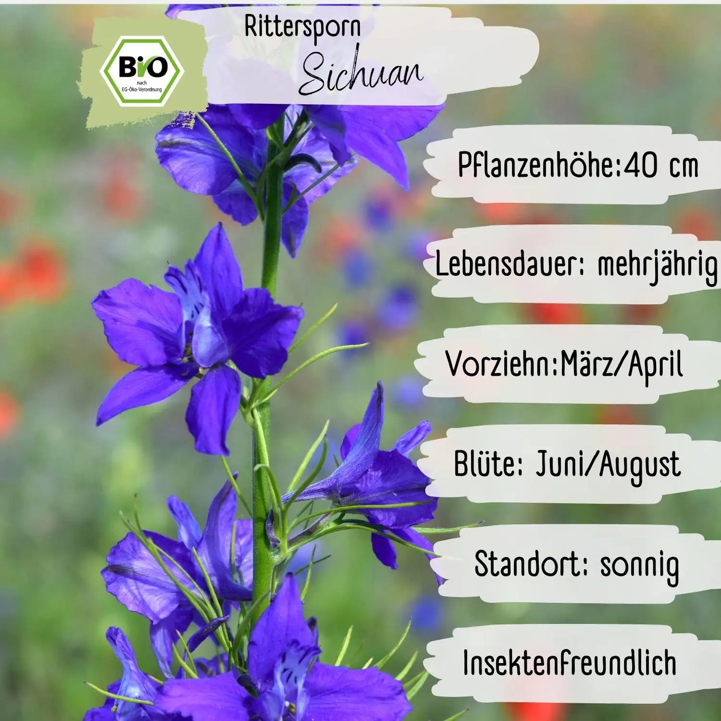 Bio Rittersporn Sichuan Samen