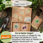 Dein 12 Demeter Mini Gemüse Samen Set