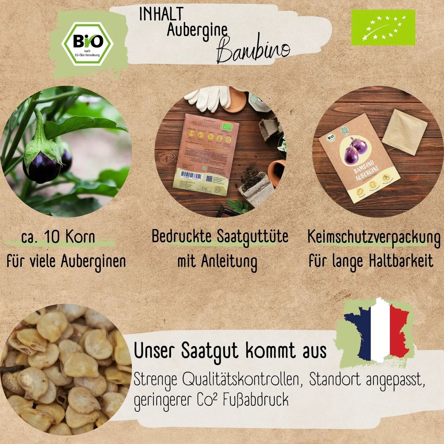 Bio Aubergine Bambino Samen