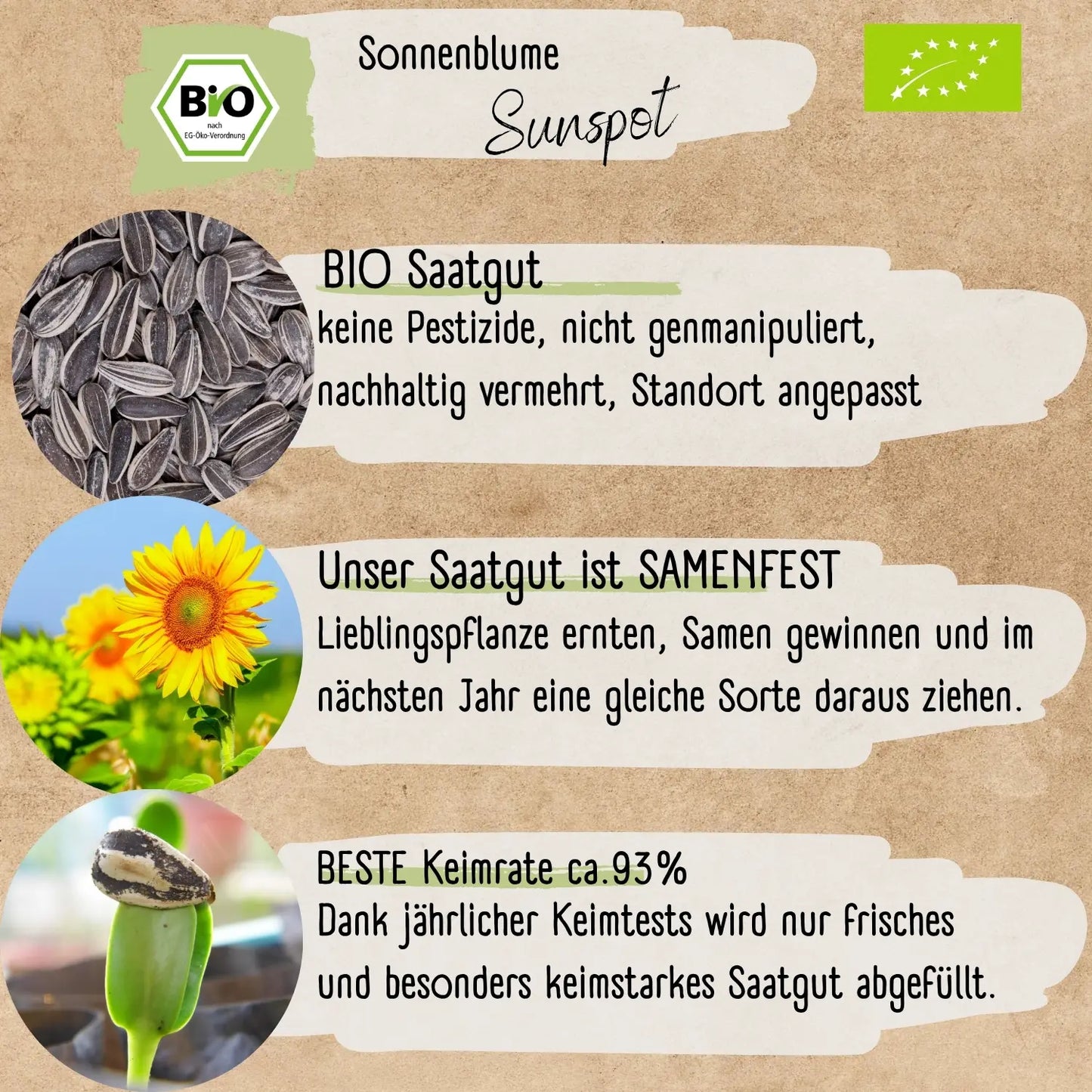 Bio Sonnenblume Sunspot Samen