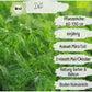 Bio Dill Samen