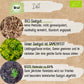 Bio Dill Samen
