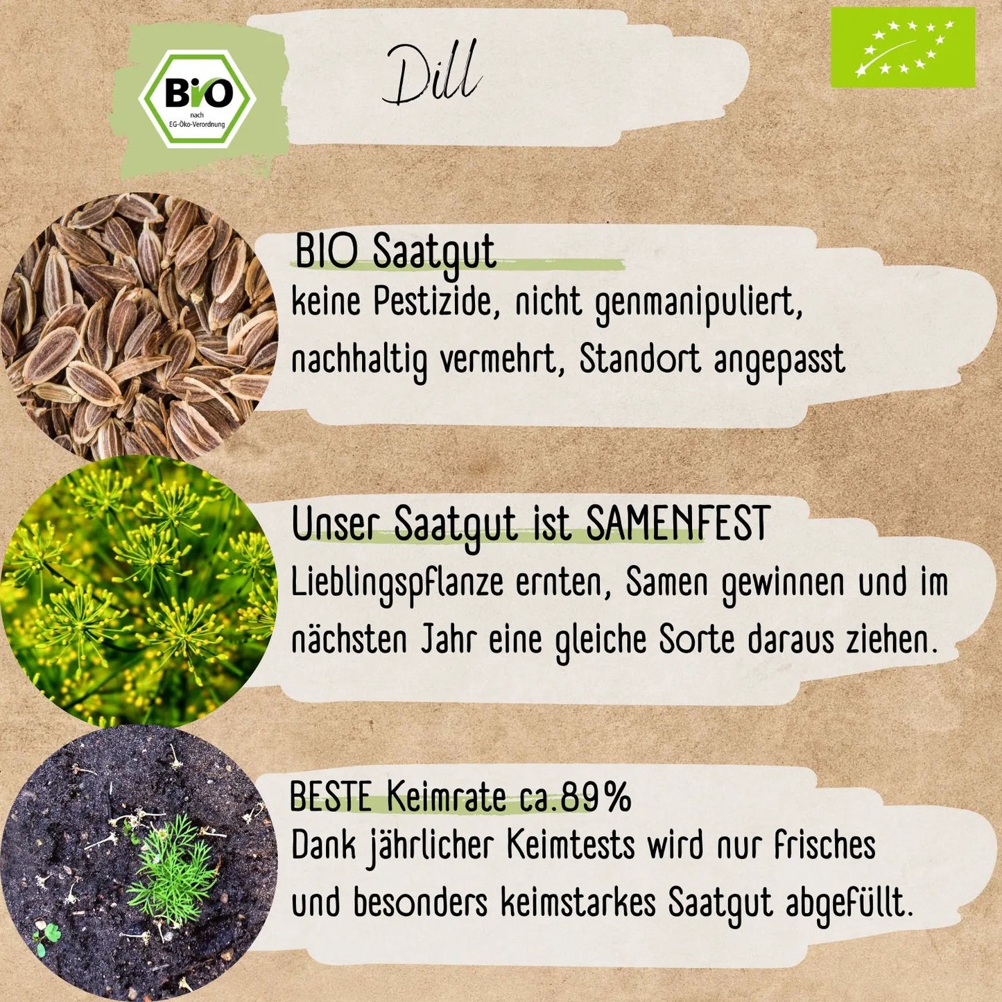 Bio Dill Samen