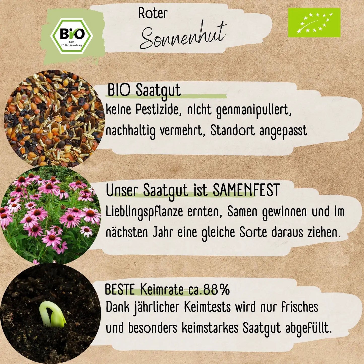 Bio Roter Sonnenhut Samen