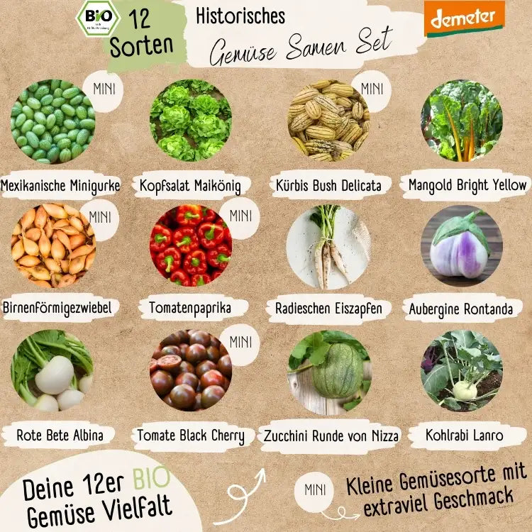 Dein 12 Demeter Historisches Gemüse Samen Set