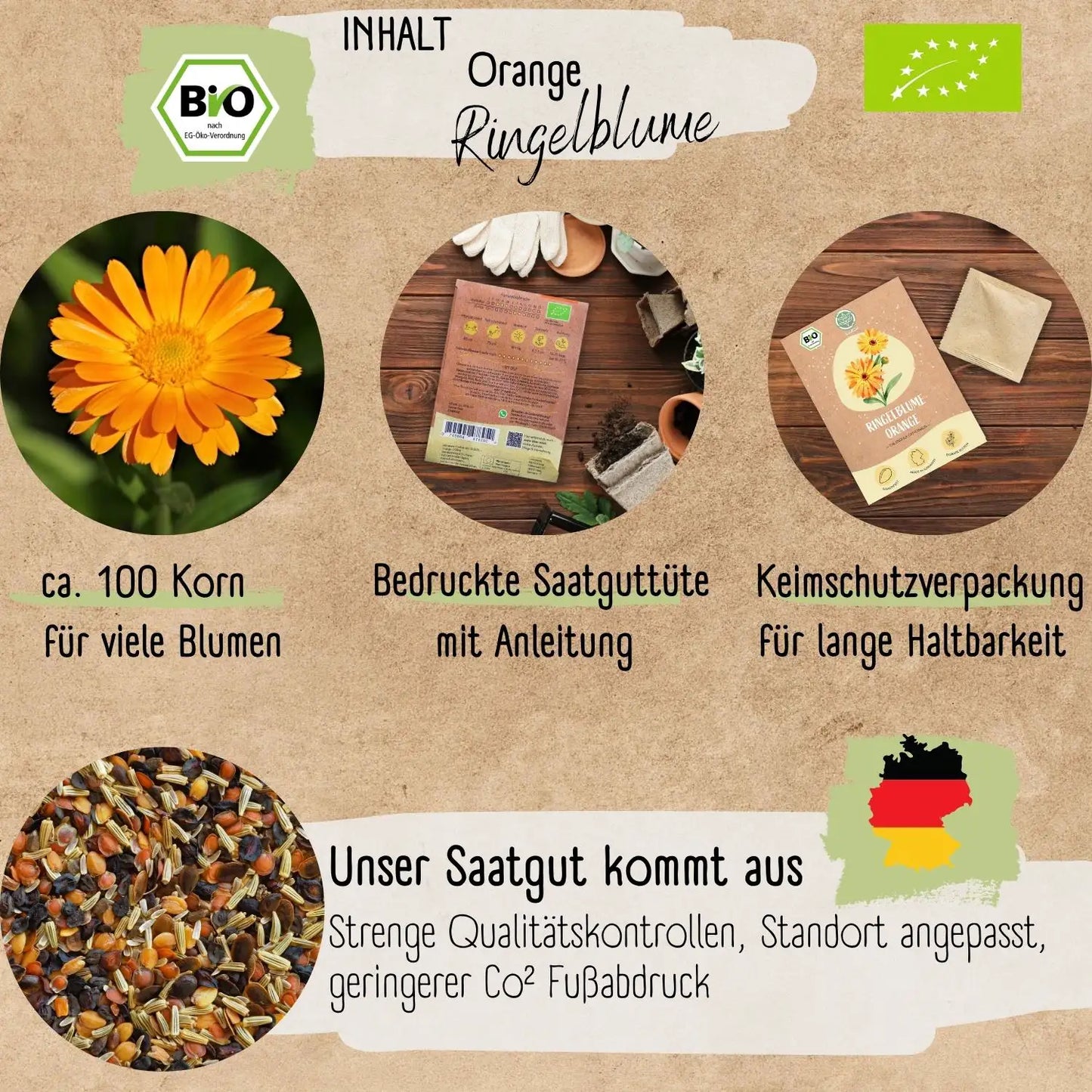 Bio Ringelblume Orange Samen