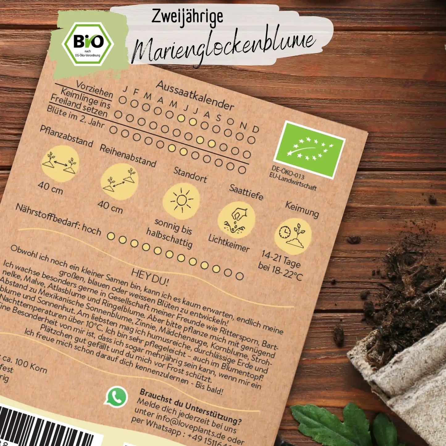 Bio Marienglockenblume Samen