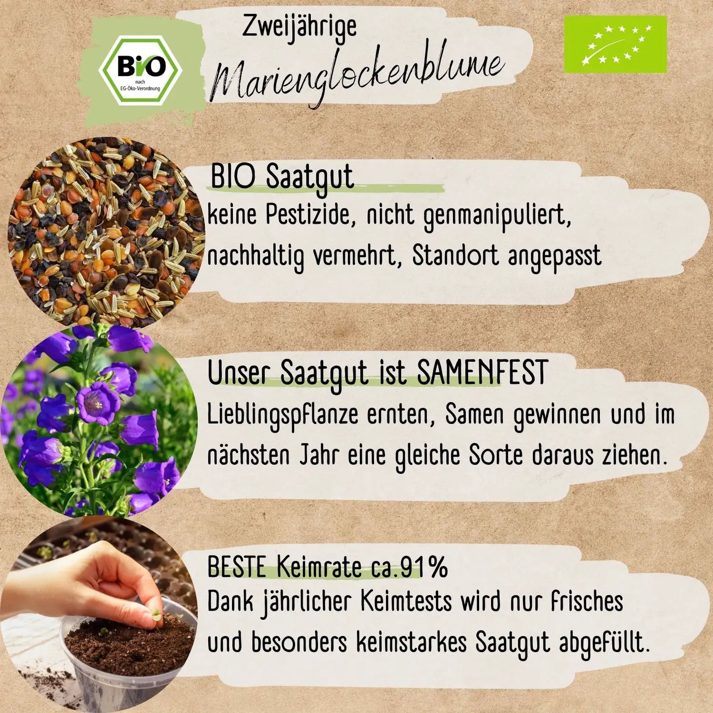 Bio Marienglockenblume Samen