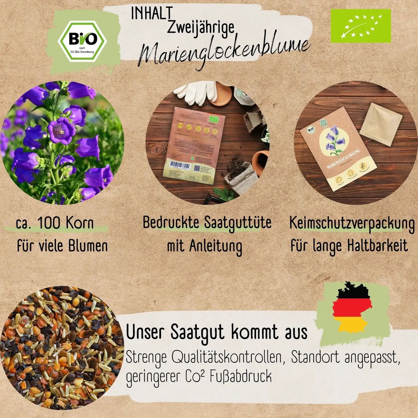 Bio Marienglockenblume Samen