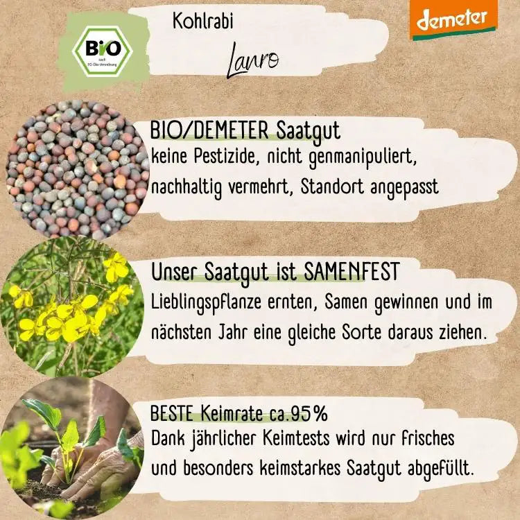 Demeter Kohlrabi Lanro Samen