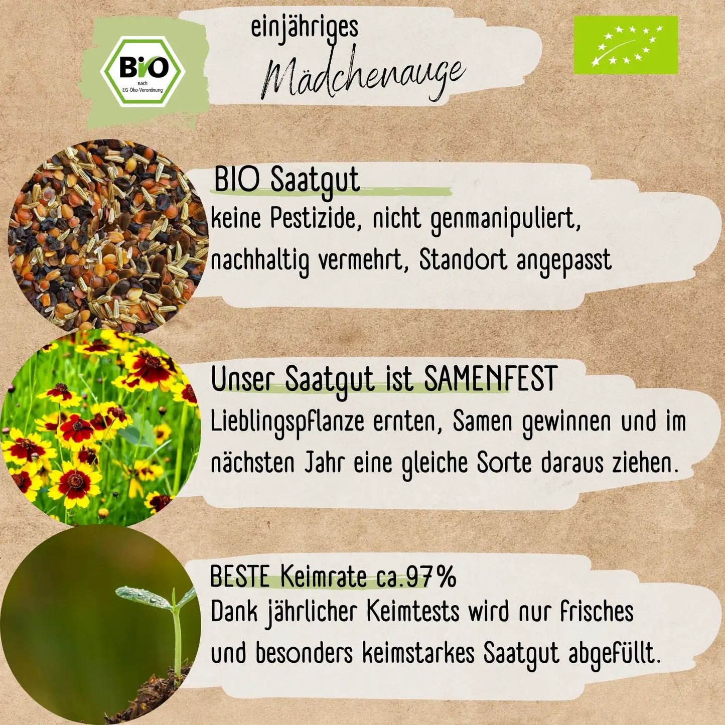 Bio Mädchenauge Samen