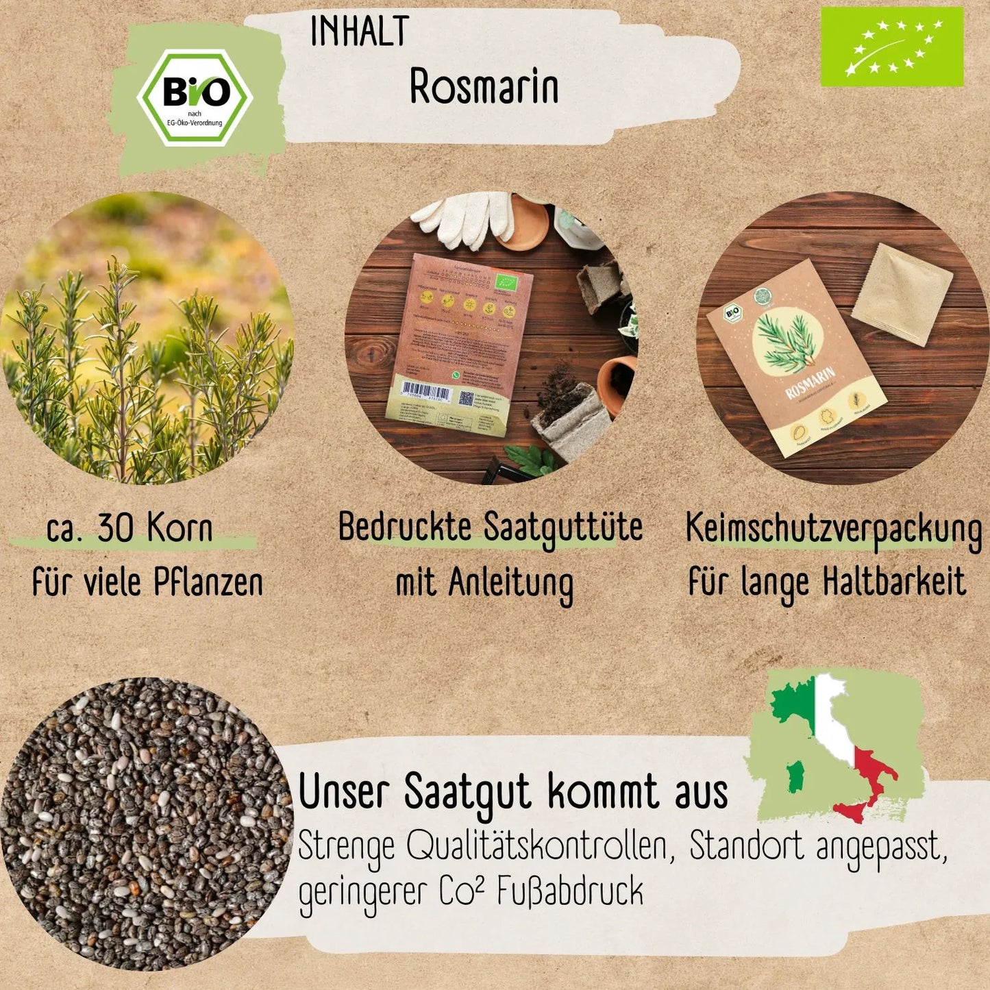 Bio Rosmarin Samen