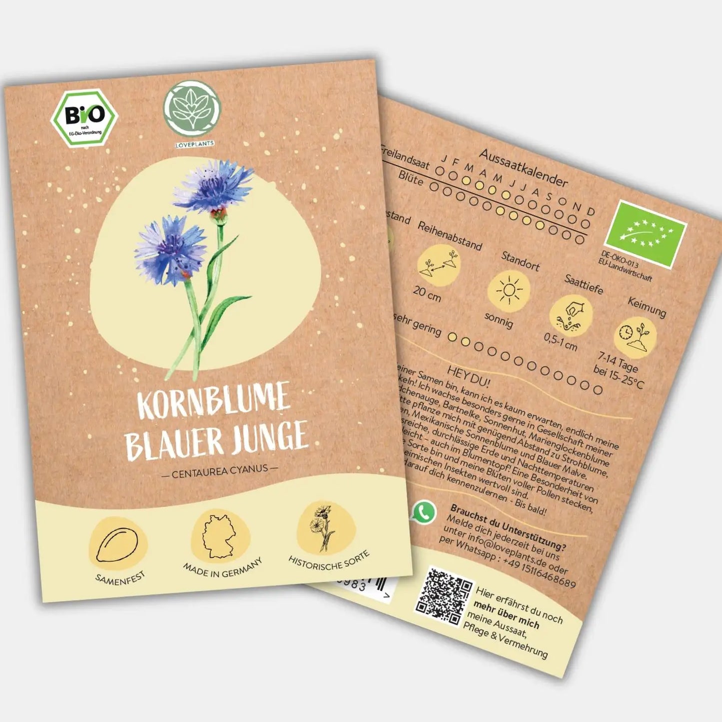 Bio Kornblume Blauer Junge Samen