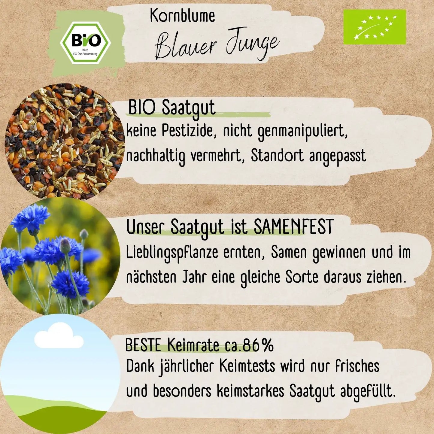 Bio Kornblume Blauer Junge Samen