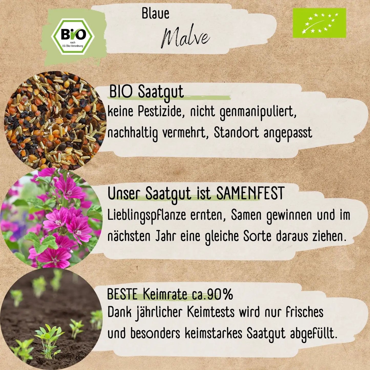 Bio Blaue Malve Samen