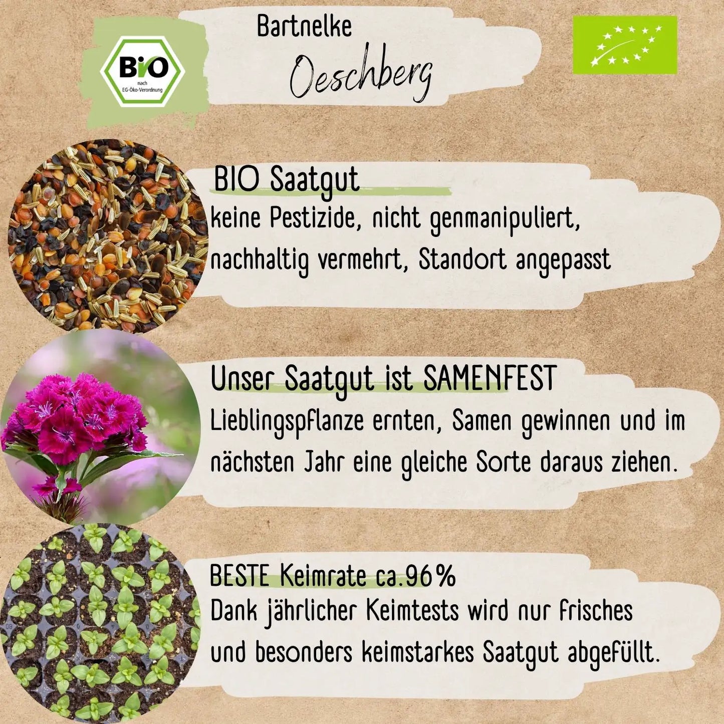 Bio Bartnelke Oeschberg Samen