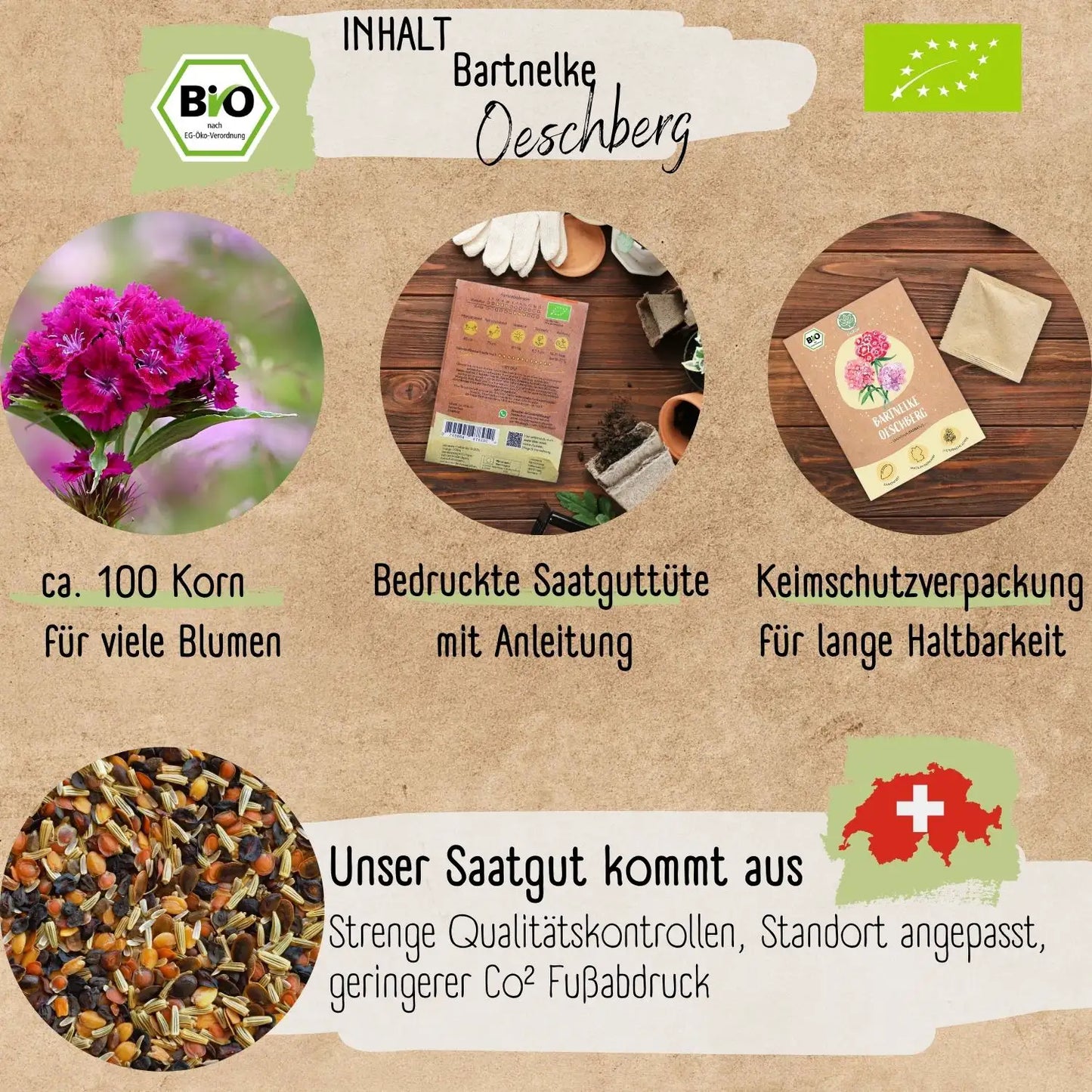 Bio Bartnelke Oeschberg Samen