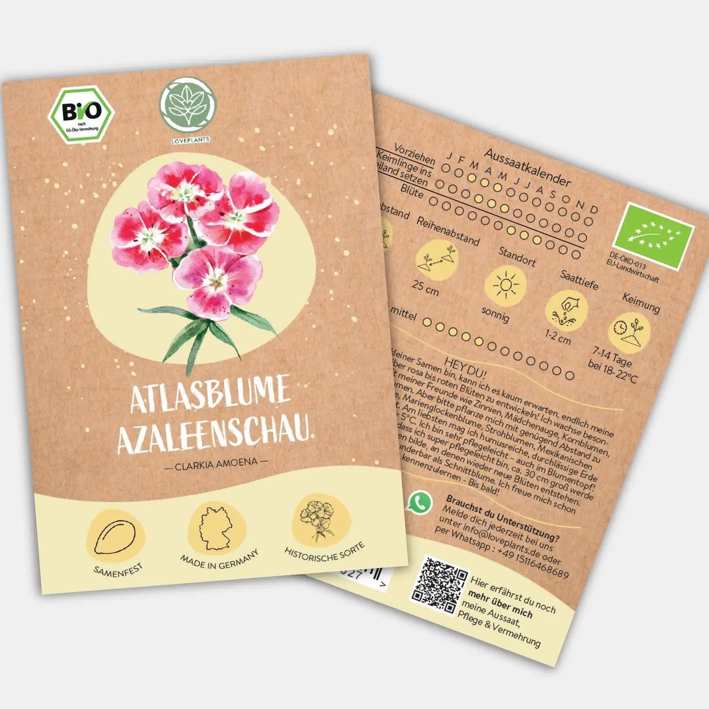 Bio Atlasblume Azaleenschau Samen