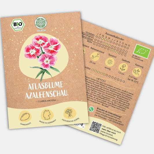 Bio Atlasblume Azaleenschau Samen