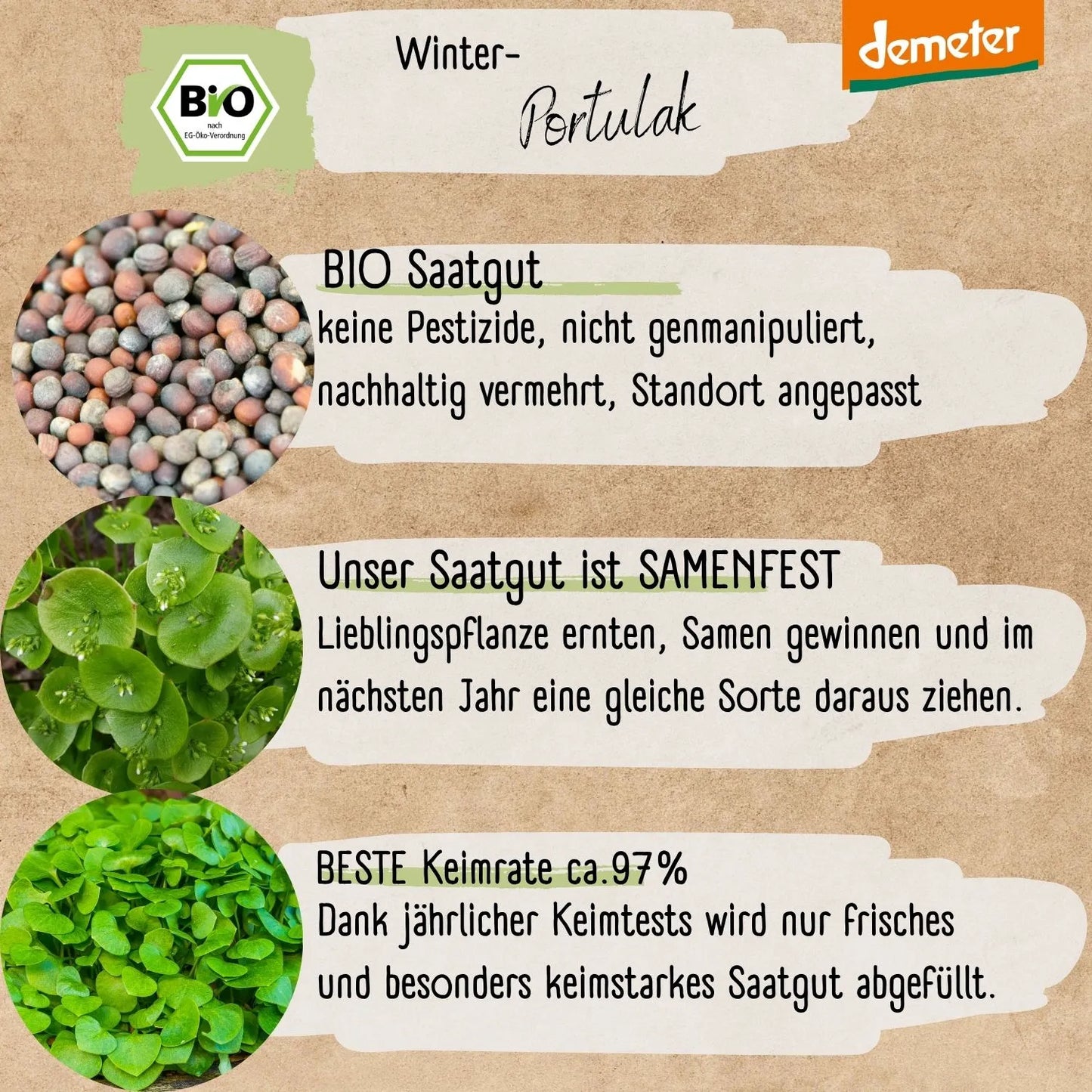 Demeter Winterportulak Samen